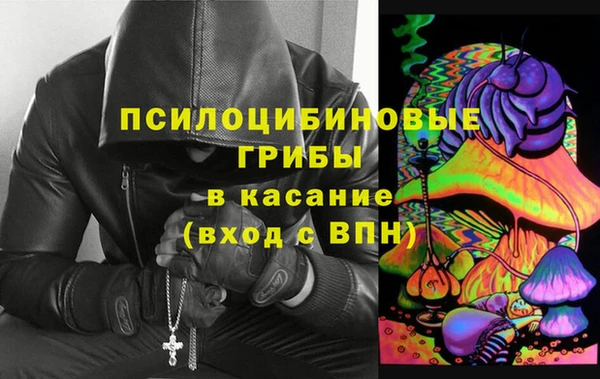 дмт Аркадак