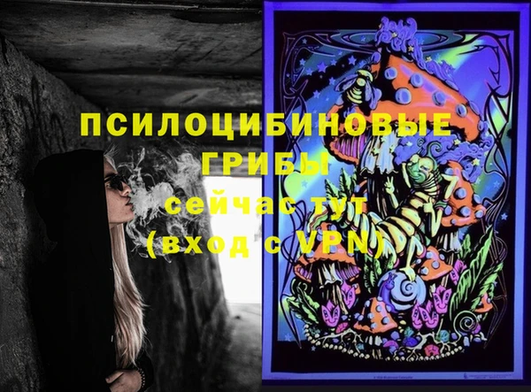 дмт Аркадак