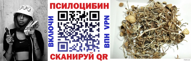 Галлюциногенные грибы Cubensis Купить закладки Зуевка